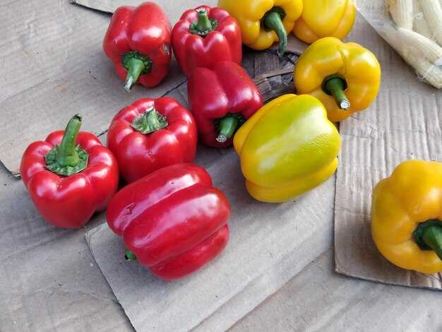 Рецепты с болгарским перцем для диабетиков