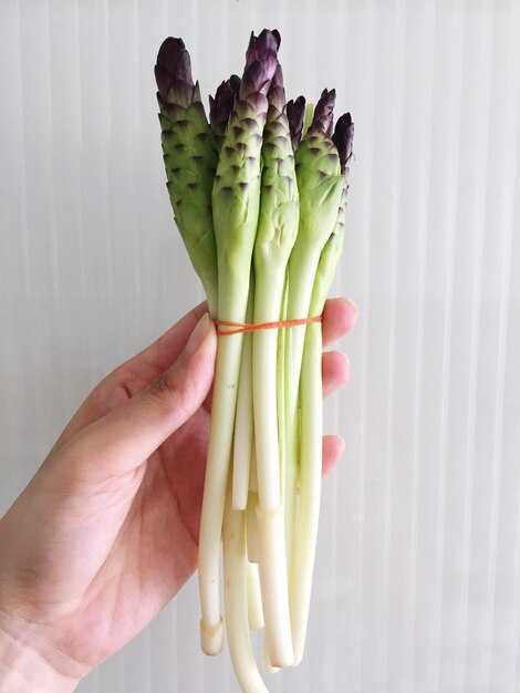 Спортивные добавки с аналогичным составом