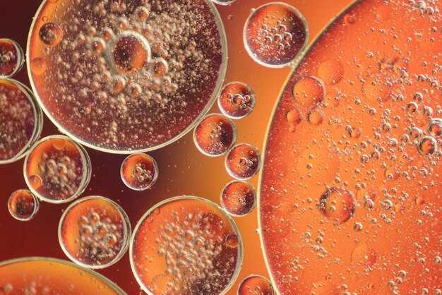 Роль гликокаликса в клеточной адгезии