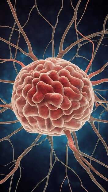 Способы исследовать происхождение клеток головного мозга