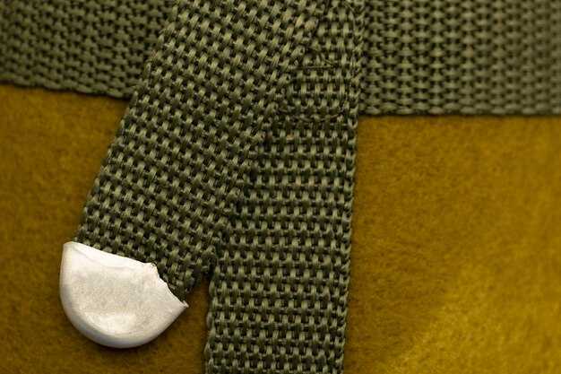 Свойства эластичного хряща и его применение