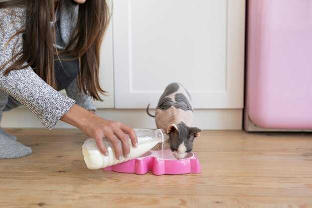 Ошибки при кормлении через зонд и их последствия