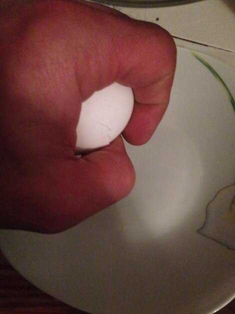 Обследование анального отверстия: процедуры и методы