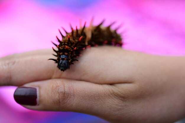 Методы диагностики меланомы на ранних стадиях