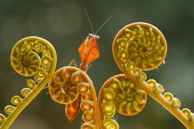 Способы предотвращения повторного заражения стафилококком
