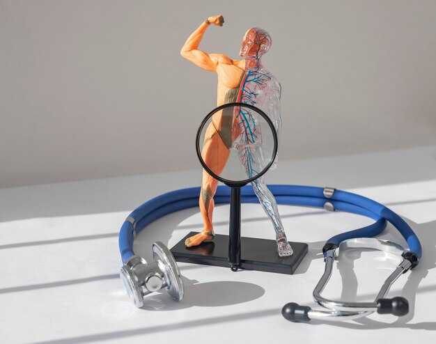 Иммунная функция: роль липидов в иммунном ответе