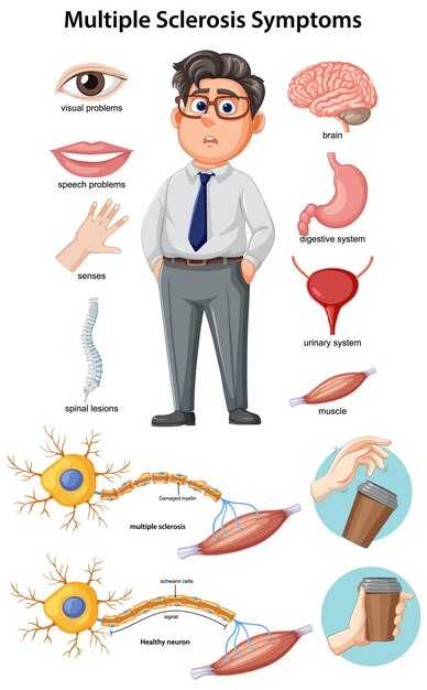 Морфология периферических нервов