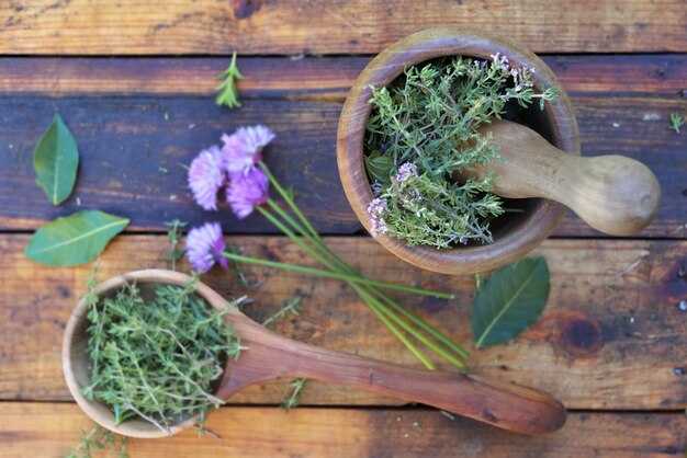 Череда: что нужно знать о её свойствах