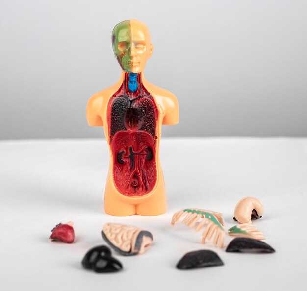 Влияние окружающей среды на уровень гемоглобина