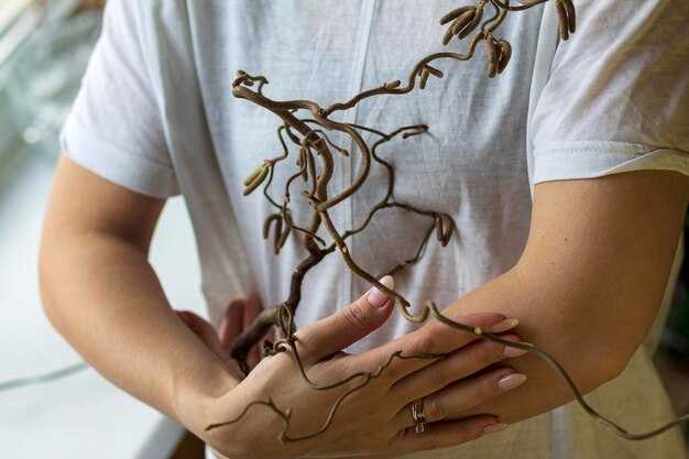 Сравнение длины нервов у разных видов млекопитающих