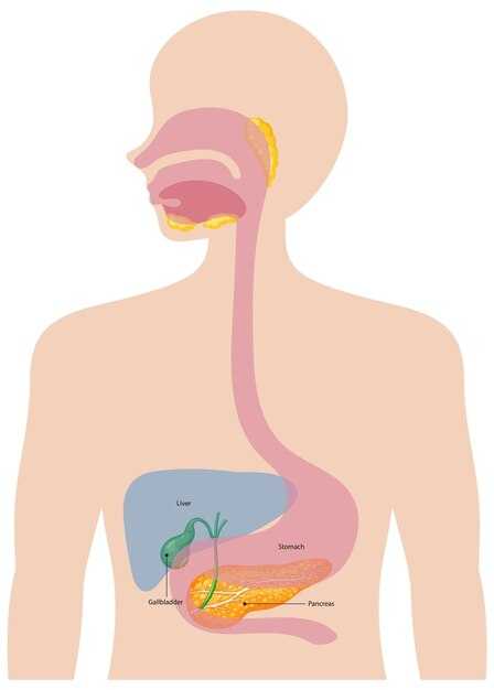 Структурные особенности мембраны лизосом