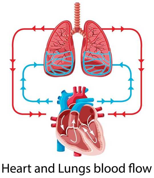 Методы диагностики патологий легочных артерий