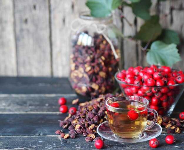 Выбор качественных плодов шиповника