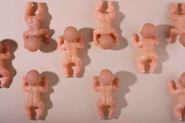 Анатомия в трансверсальной плоскости: примеры