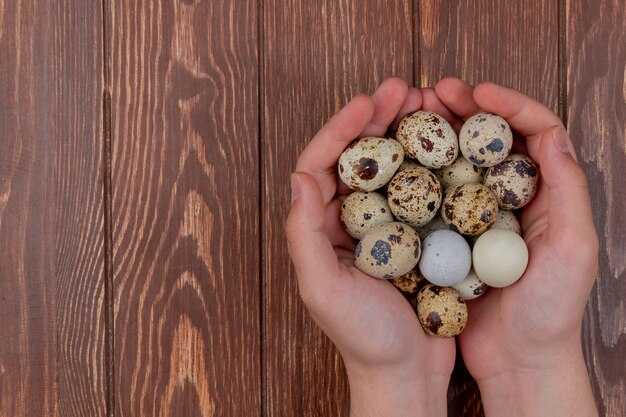 Советы по выбору качественных перепелиных яиц