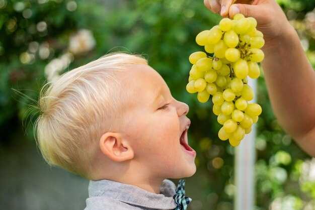 Как правильно готовить виноград для детей?