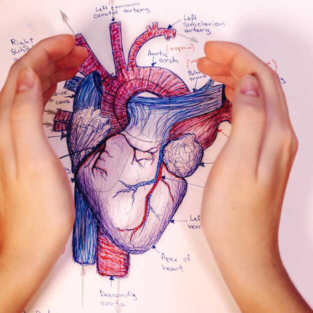 Роль сердца в системе кровообращения