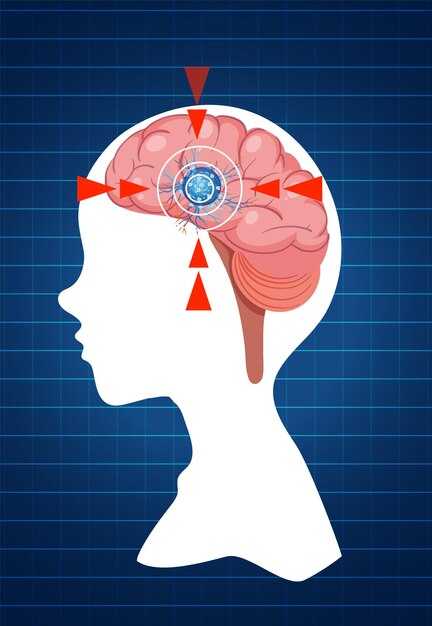 Расположение лобной пазухи относительно других структур