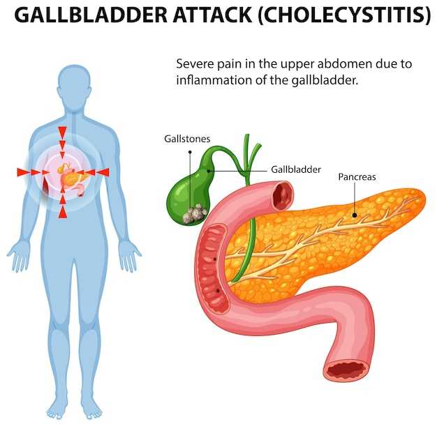 Доказанные методы улучшения работы печени